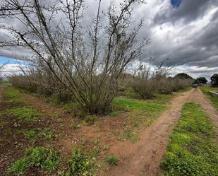 Grundstücke zum verkauf in El Morell