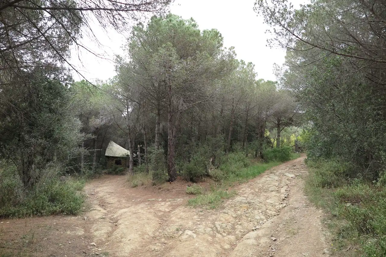 Rustikales Grundstück zum Verkauf in C/ Can Poi del Bosc, imagen 6