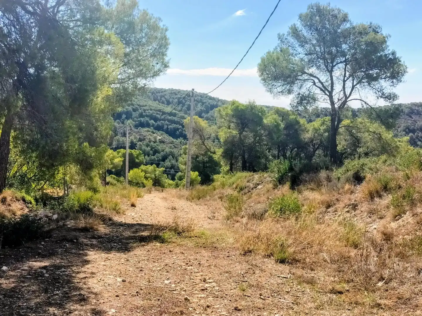 Terreno residencial en venta en Canyelles, imagen 9