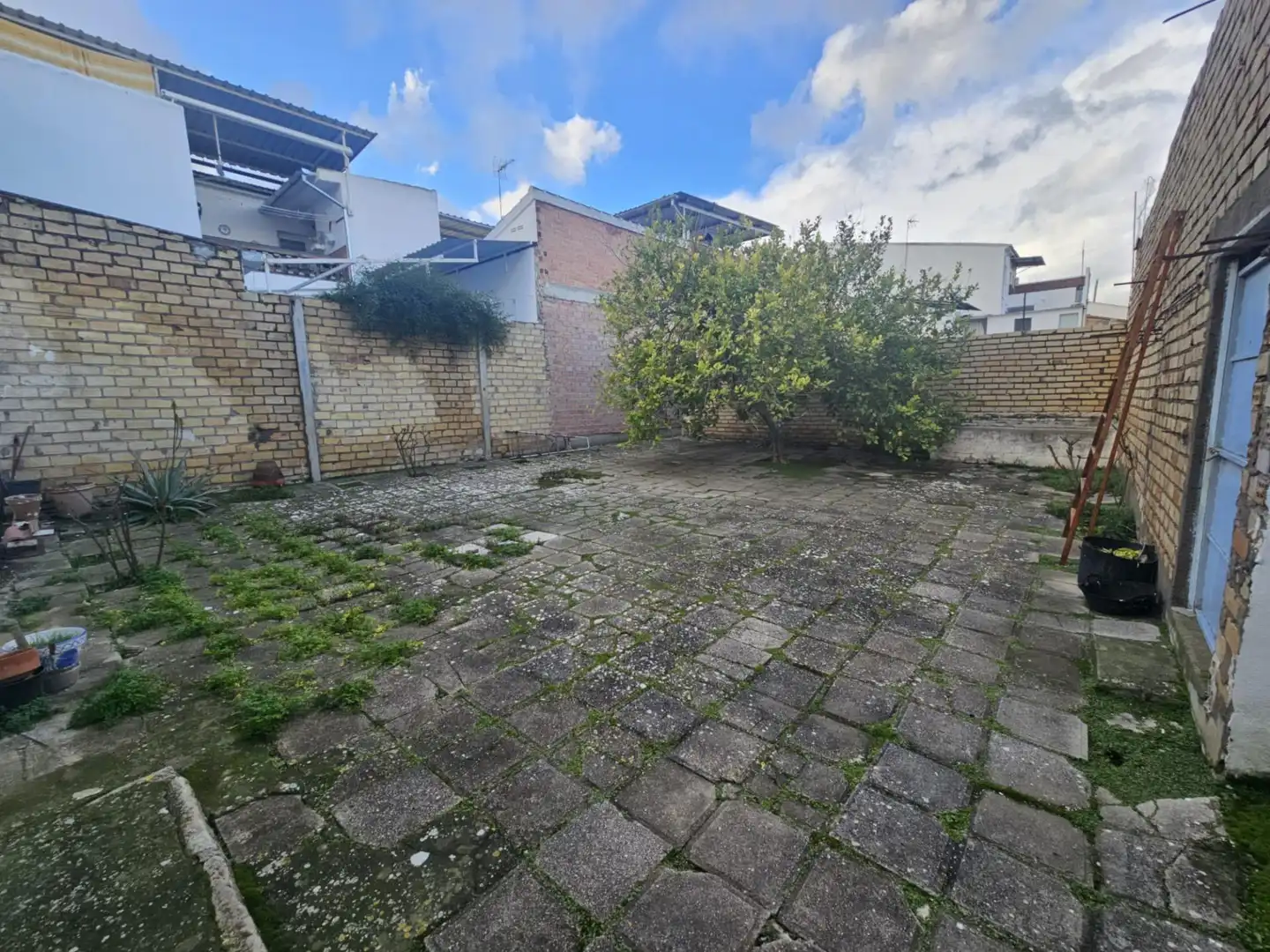 House with terrace for sale in Benamejí, imagen 37