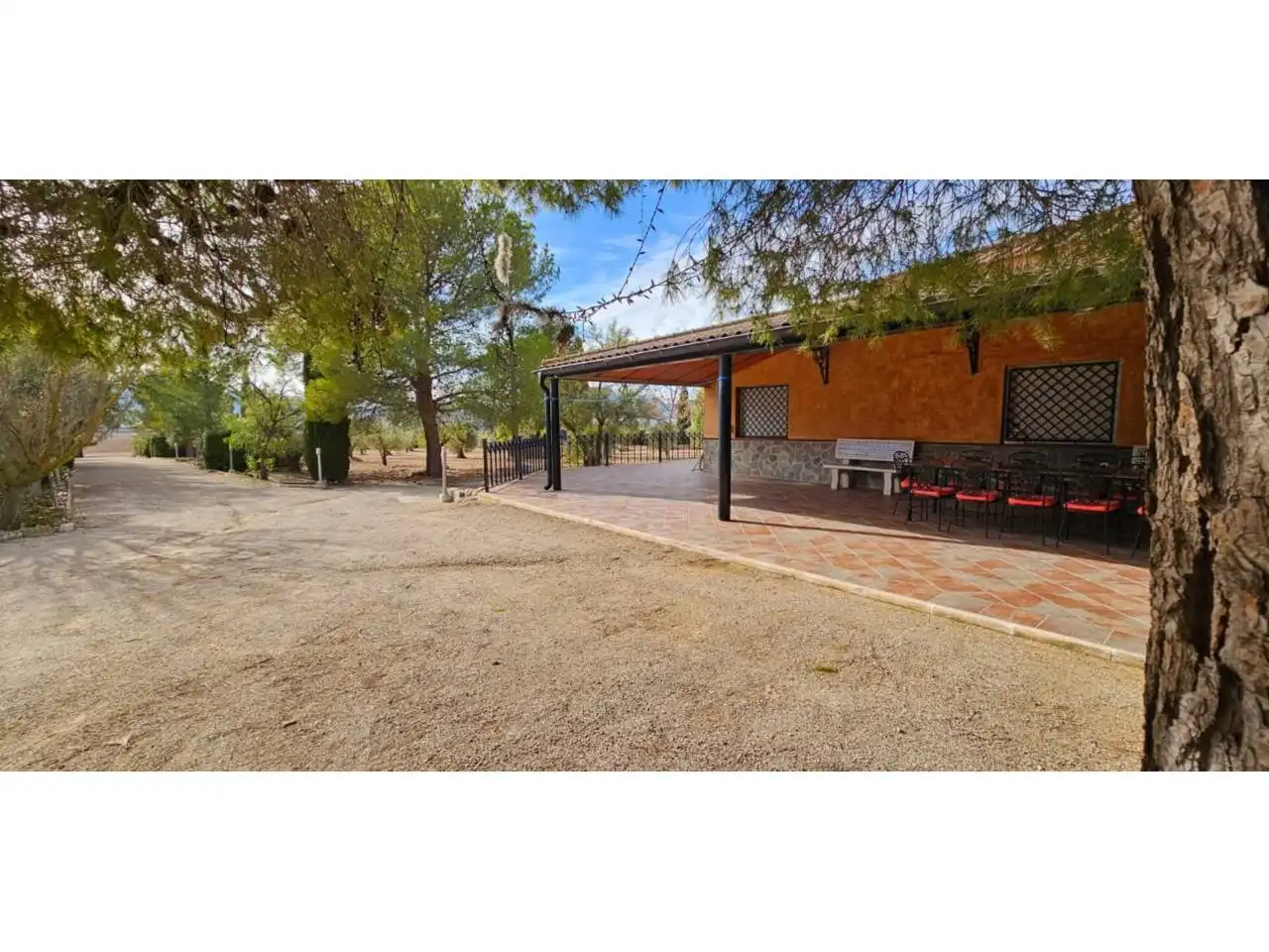 Chalet con piscina en venta en Jumilla, imagen 60