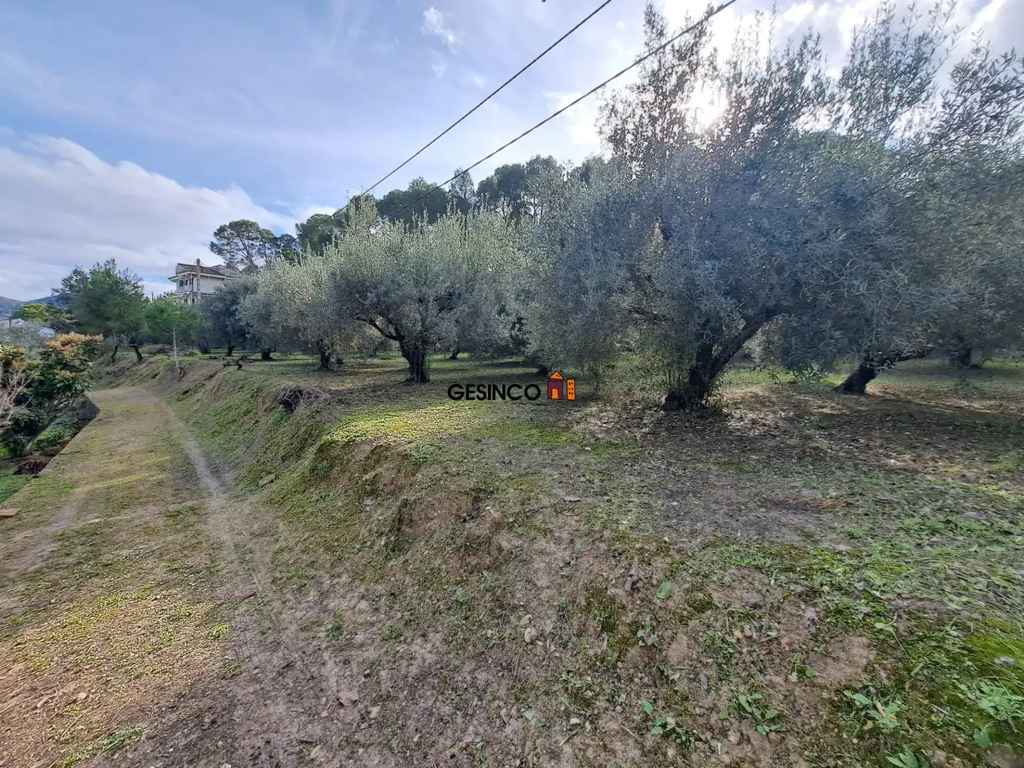 Casa o xalet en venda en Xàtiva amb Jardí privat i Terrassa