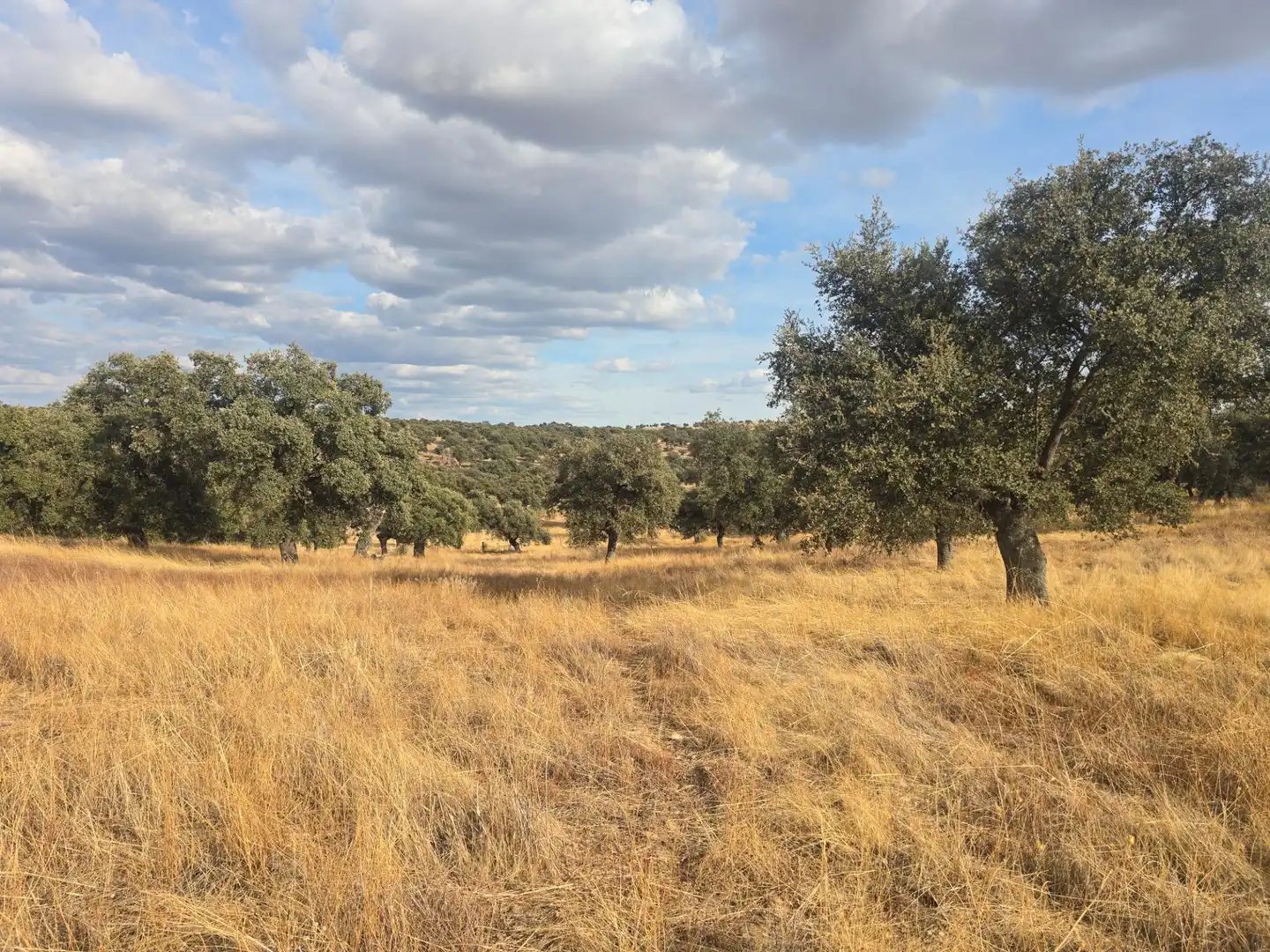 Country house zum Verkauf in Pedroche, Córdoba