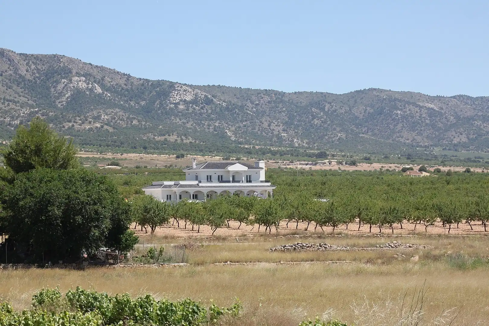 House for sale in El Pinós / Pinoso, imagen 9
