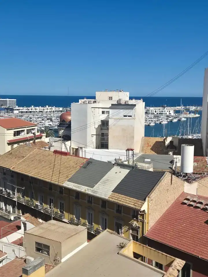 Vista exterior de Pis de lloguer en Alicante / Alacant amb Aire condicionat i Moblat