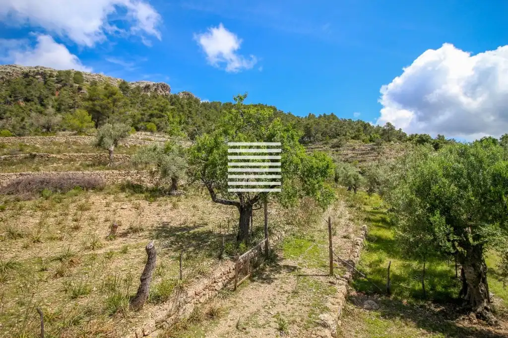 Casa o chalet en venta en Escorca con Trastero