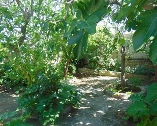 Finca rústica en venda a Calle Redondal, Sevilleja de la Jara