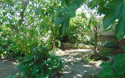 Finca rústica en venda a Calle Redondal, Sevilleja de la Jara