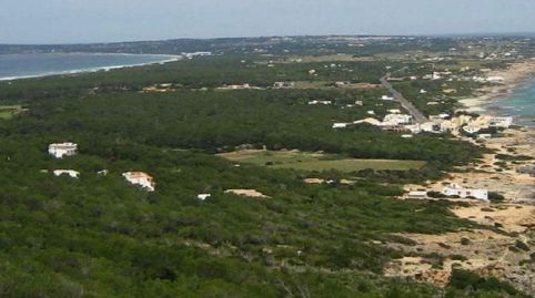 PARAÍSO NATURAL EN FORMENTERA, TERRENO RÚSTICO CON ACANTILADO Y VISTAS AL MAR , immagine 3