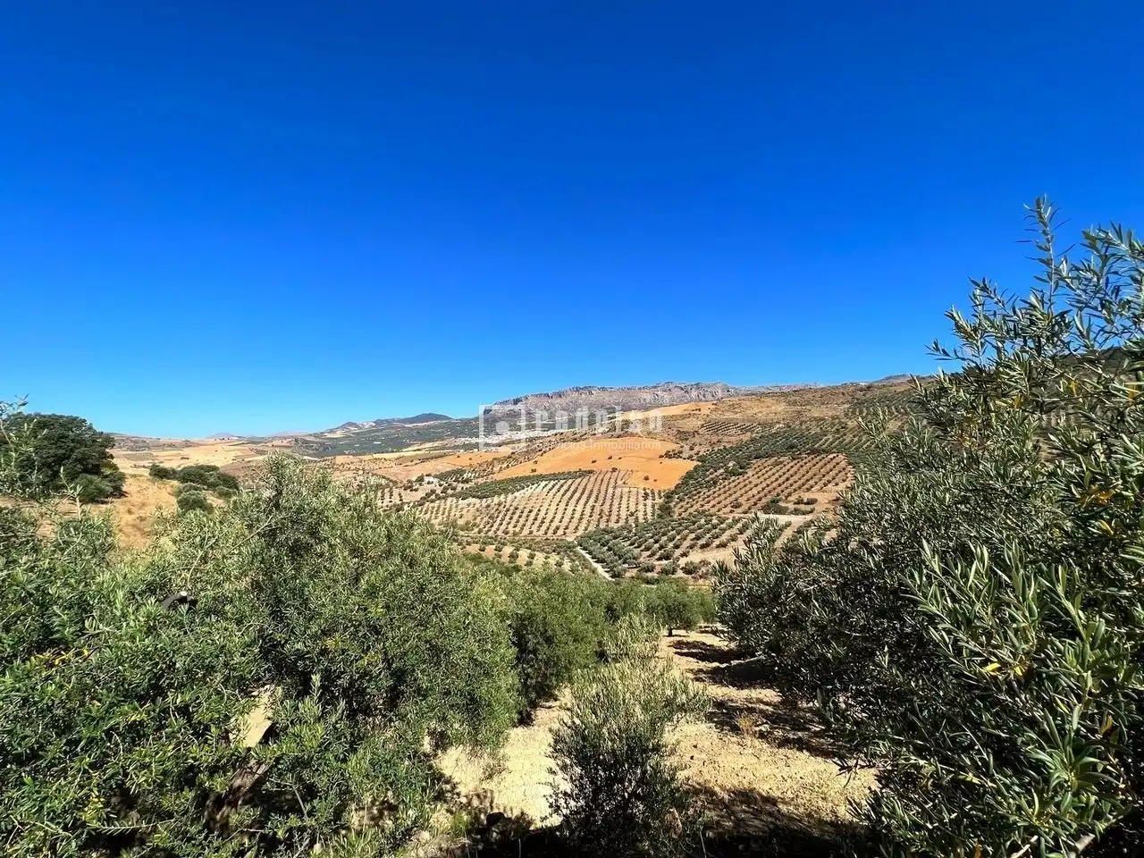 Grundstücke und Bauplätze zum Verkauf in Arroyo Coche, imagen 12