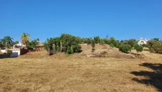 Terreny rústic en venda a San Pedro de Alcántara, imagen 3