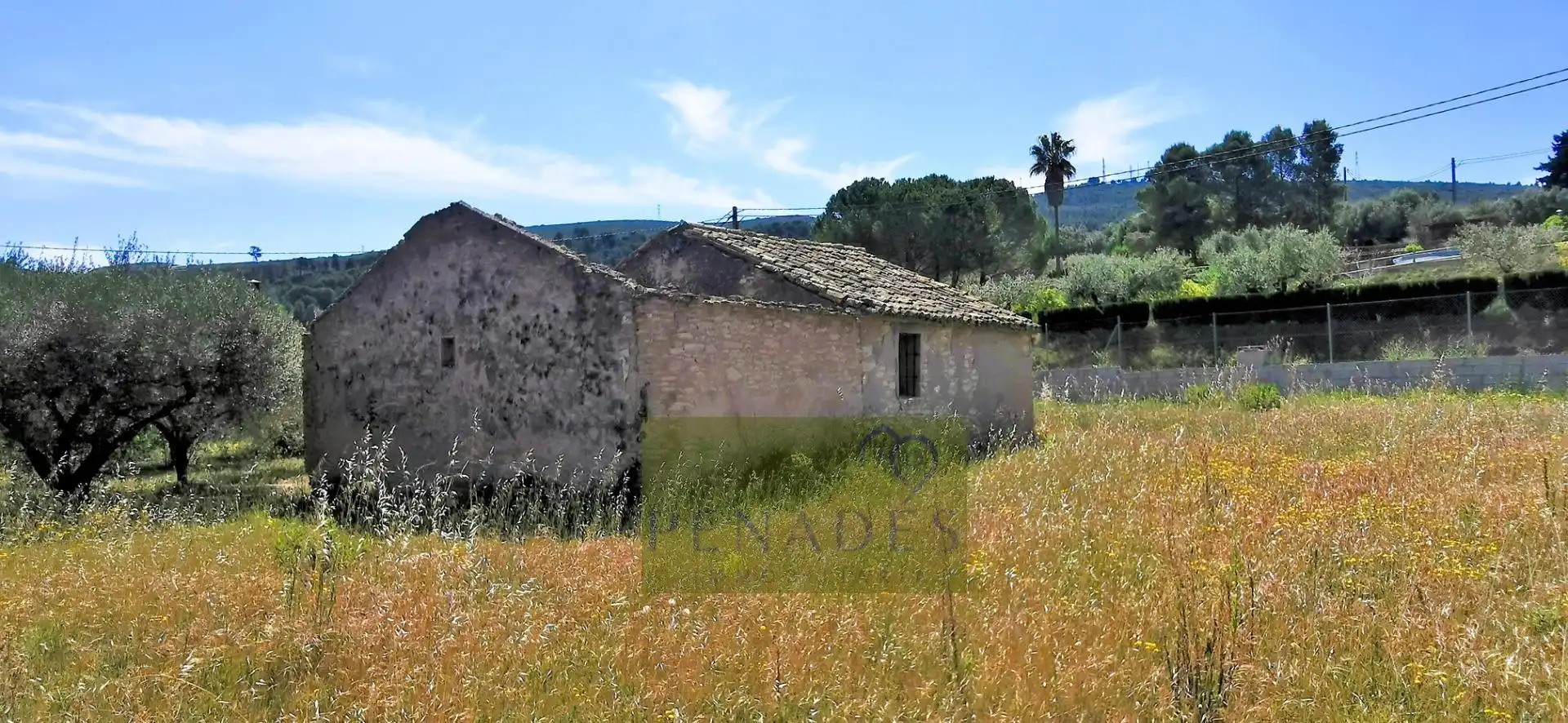 Terrain rustique à vendre à Centro, imagen 4