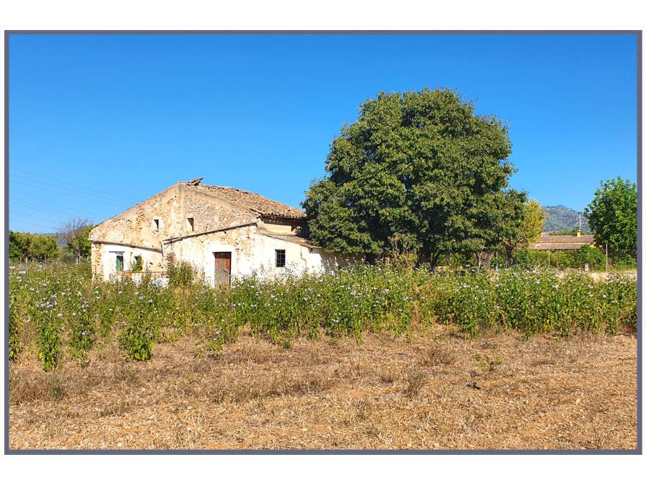 Finca rústica en venda en Inca amb Jardí privat i Terrassa