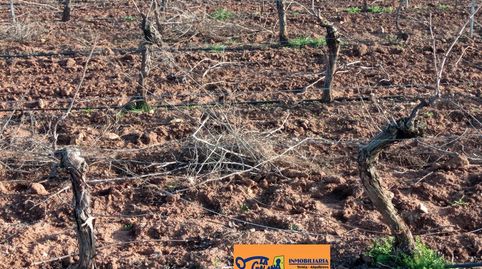 Finca Rúst. en venta en Carretera Daimiel., imatge 5