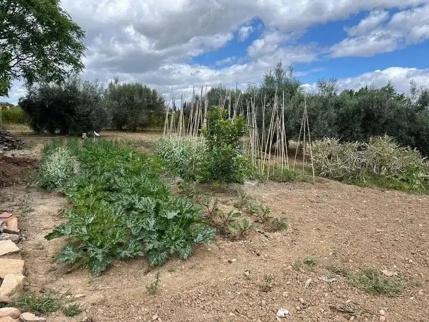 Casa o chalet en venta en Málaga
