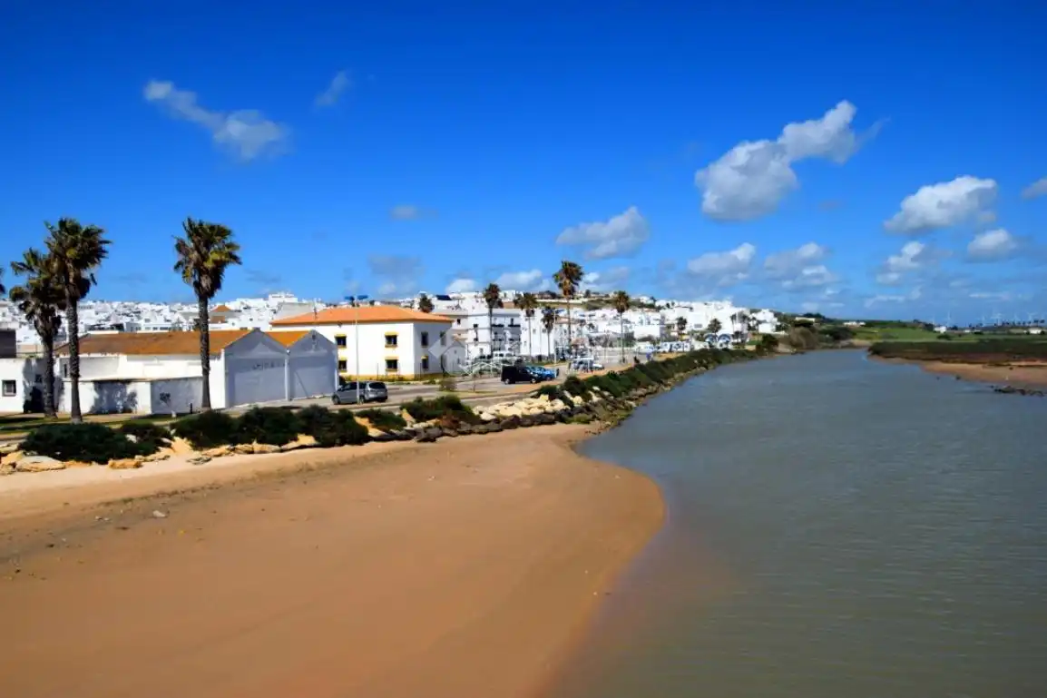Rural land for sale in Conil, imagen 26