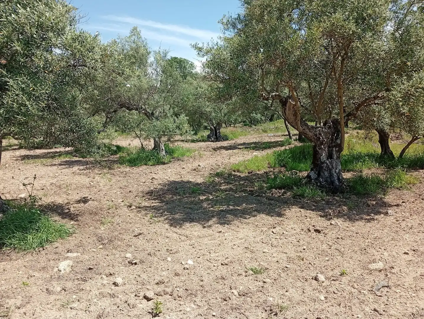 Terreni e lotti in vendita a Villanueva de la Vera, imagen 38