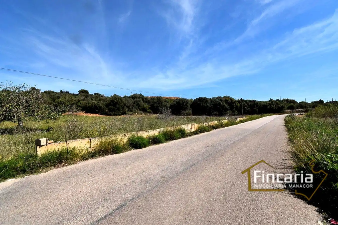 Rural land for sale in De La Torre Nova, imagen 10
