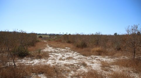 se vende finca rustica, immagine 5