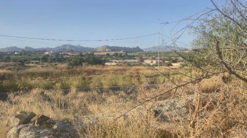 TERRENO AGRARIO- VILLANUEVA DEL SEGURA , GRAN OPORTUNIDAD!!!, immagine 4