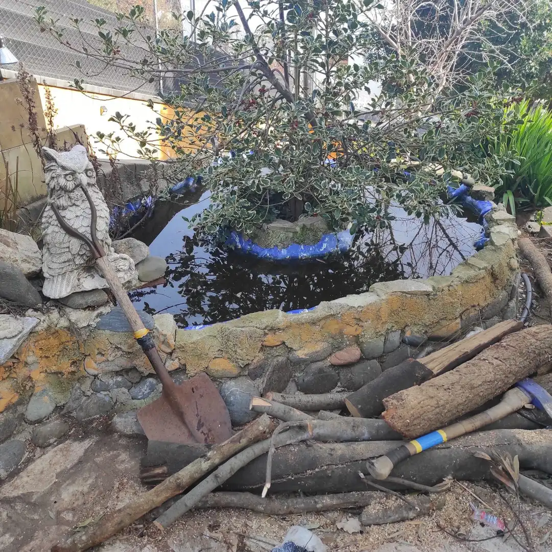 Jardí de Casa o xalet en venda en Riells i Viabrea amb Aire condicionat, Calefacció i Jardí privat
