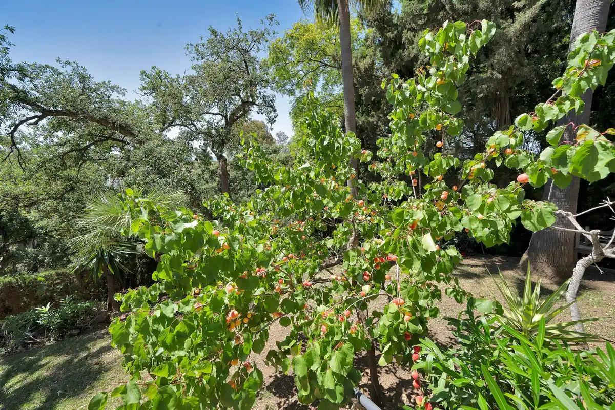 Jardín de Casa o chalet en venta en Marbella con Aire acondicionado, Calefacción y Jardín privado