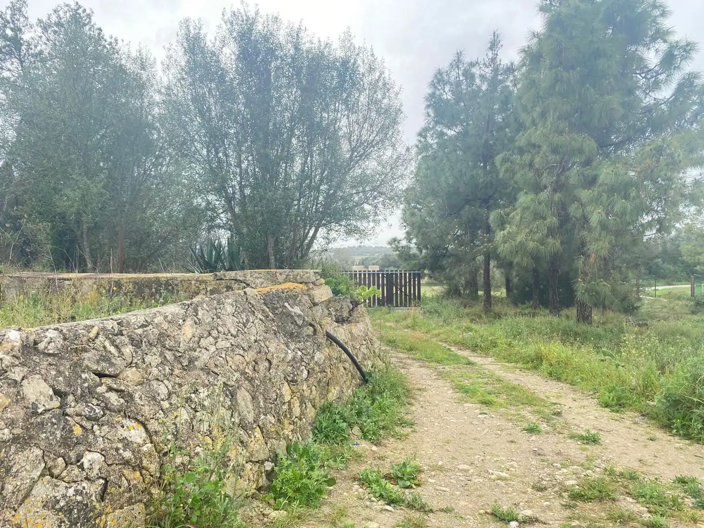 House for sale in Petra, imagen 7
