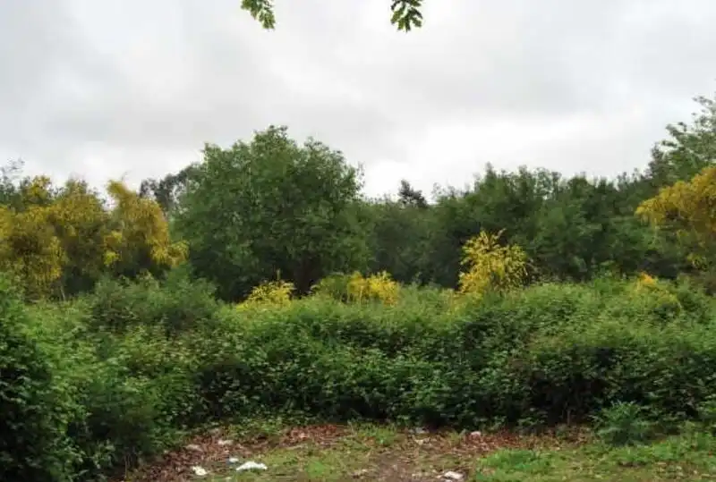Terreno residenziale in vendita a CONS-MOURENTE Polígono 166 Parcela 65