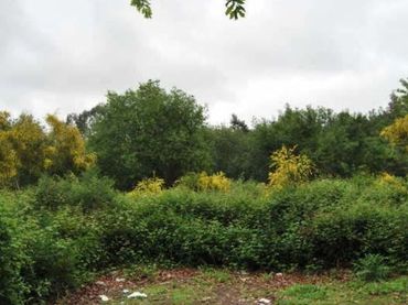 Terreno residenziale in vendita a CONS-MOURENTE Polígono 166 Parcela 65