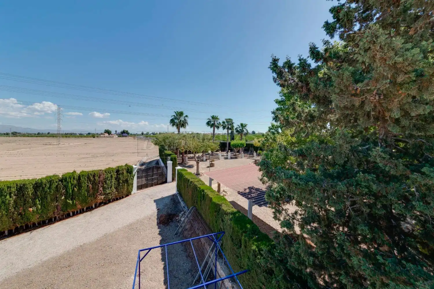 Villa con giardino in vendita a Algorfa, imagen 36