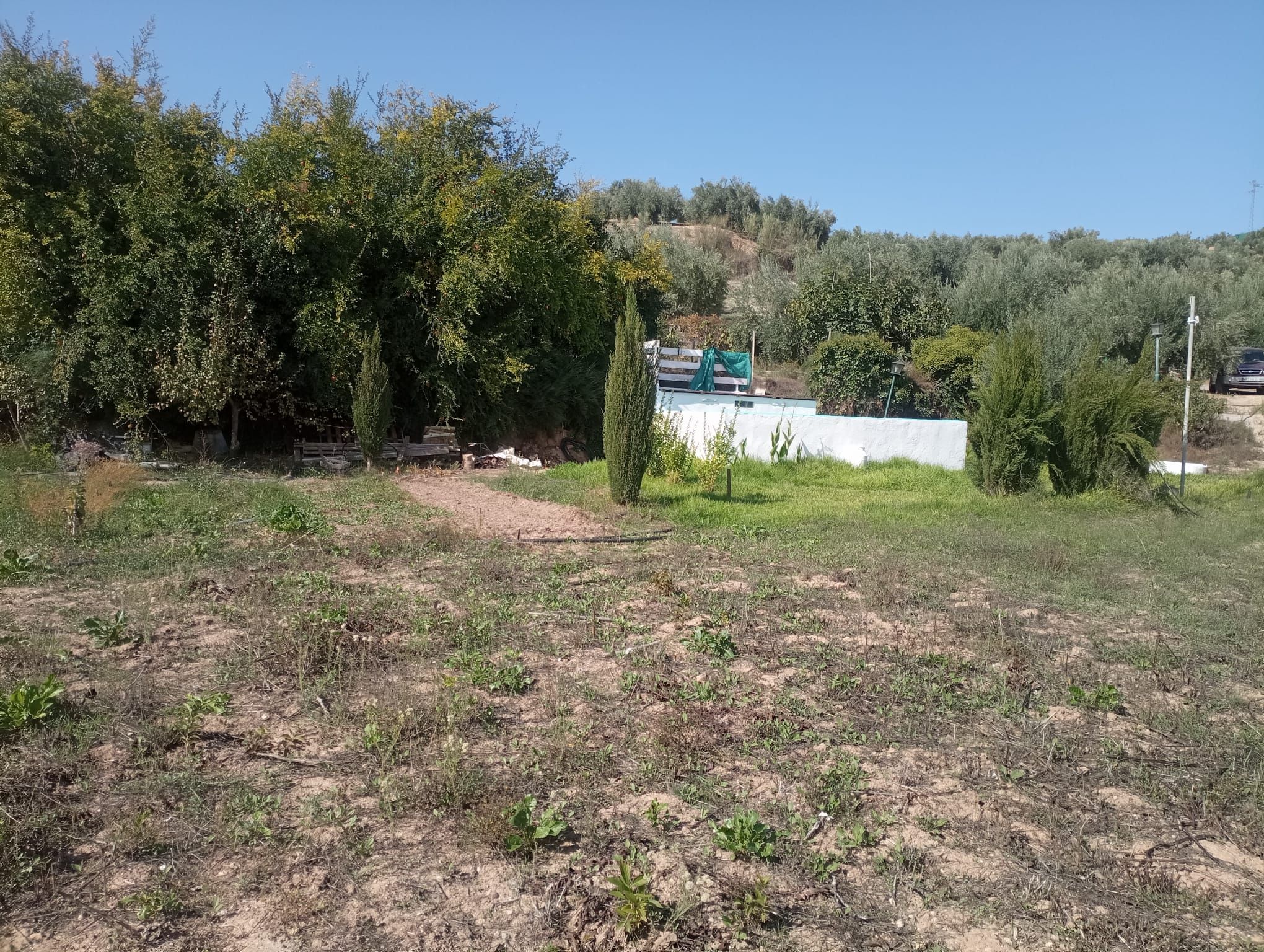 Country house for sale in Alcaudete