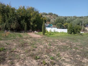 Casa rústica en venta en Alcaudete