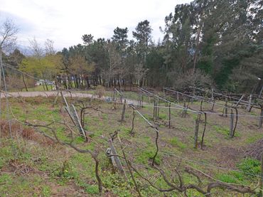 Terreno residenziale in vendita a Tomiño