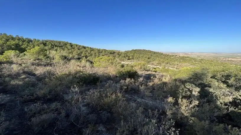 Finca rústica en venta en San Antonio O Guardarropa Pol 115.par 8,9 y 15, Osuna