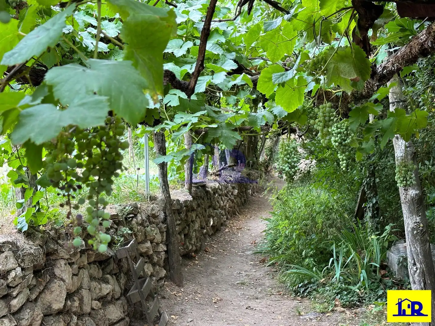 Jardín de Casa o chalet en venta en Cuenca con Terraza