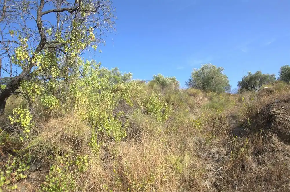 Terreno rustico in vendita a Árchez, imagen 6