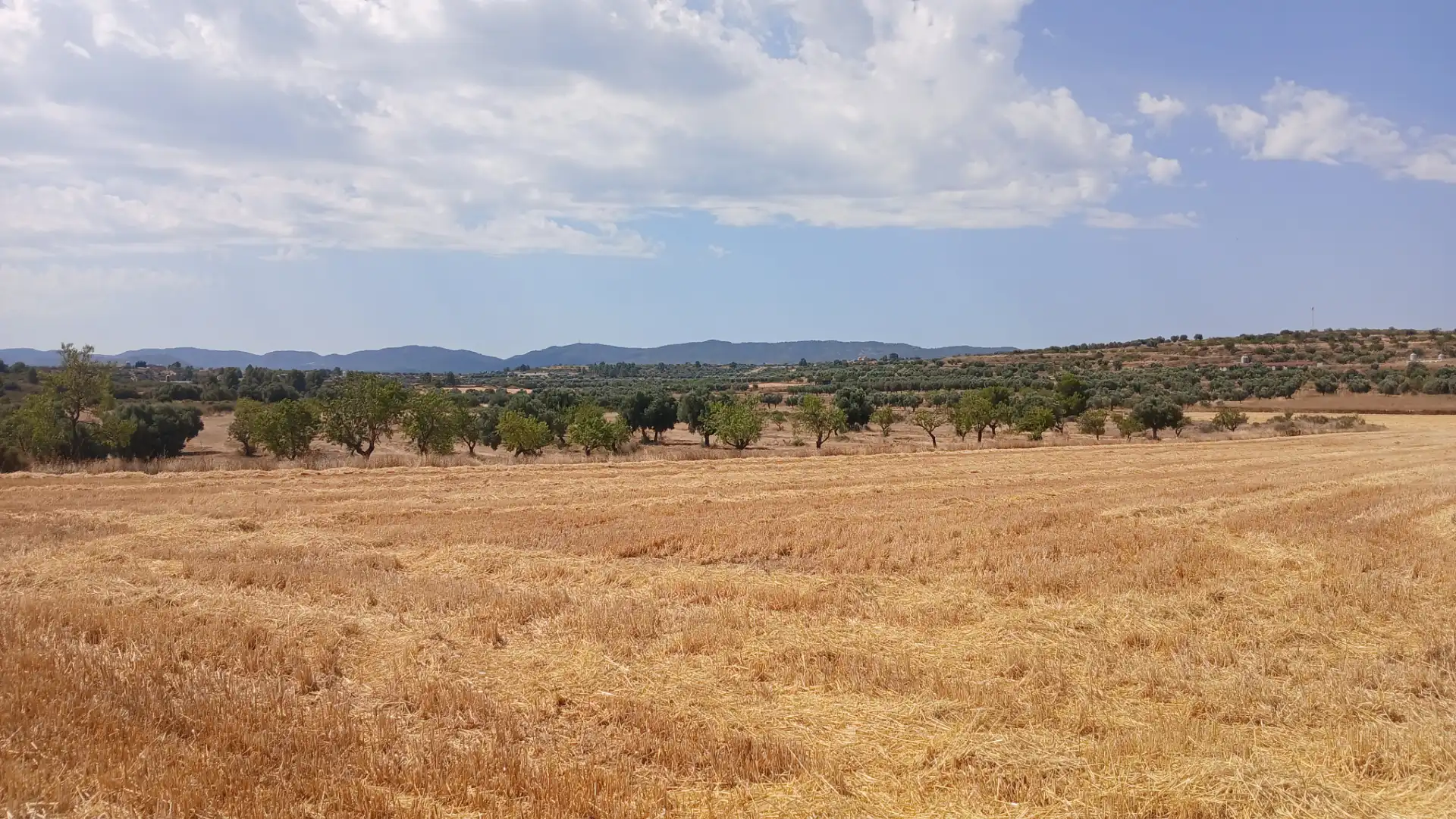Terreno en venta en Castelserás, Teruel