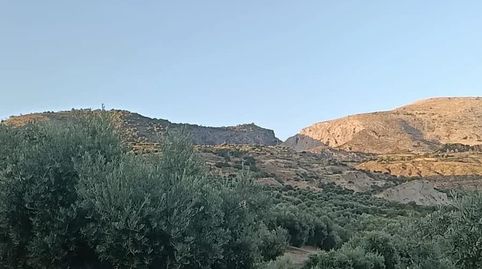 Terreno rustico secano, immagine 3