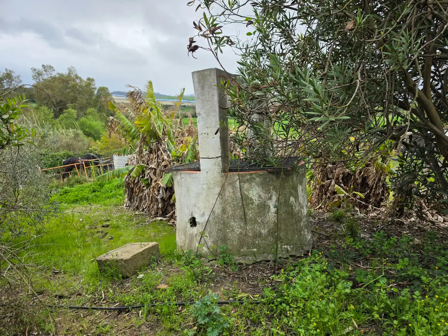 Terreni e lotti in vendita a La Granja - La Colina - Los Pastores, imagen 24