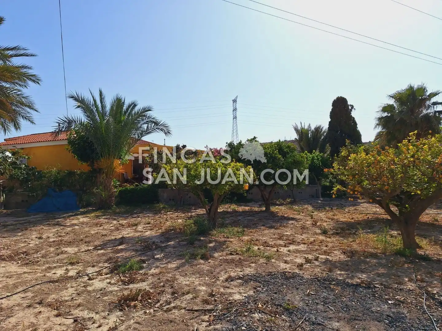 Casa o xalet en venda en Alicante / Alacant amb Terrassa i Piscina