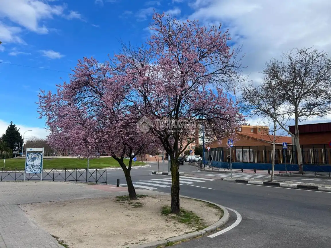 Flat with lift for sale in San Nicasio - Campo de Tiro - Solagua, imagen 15