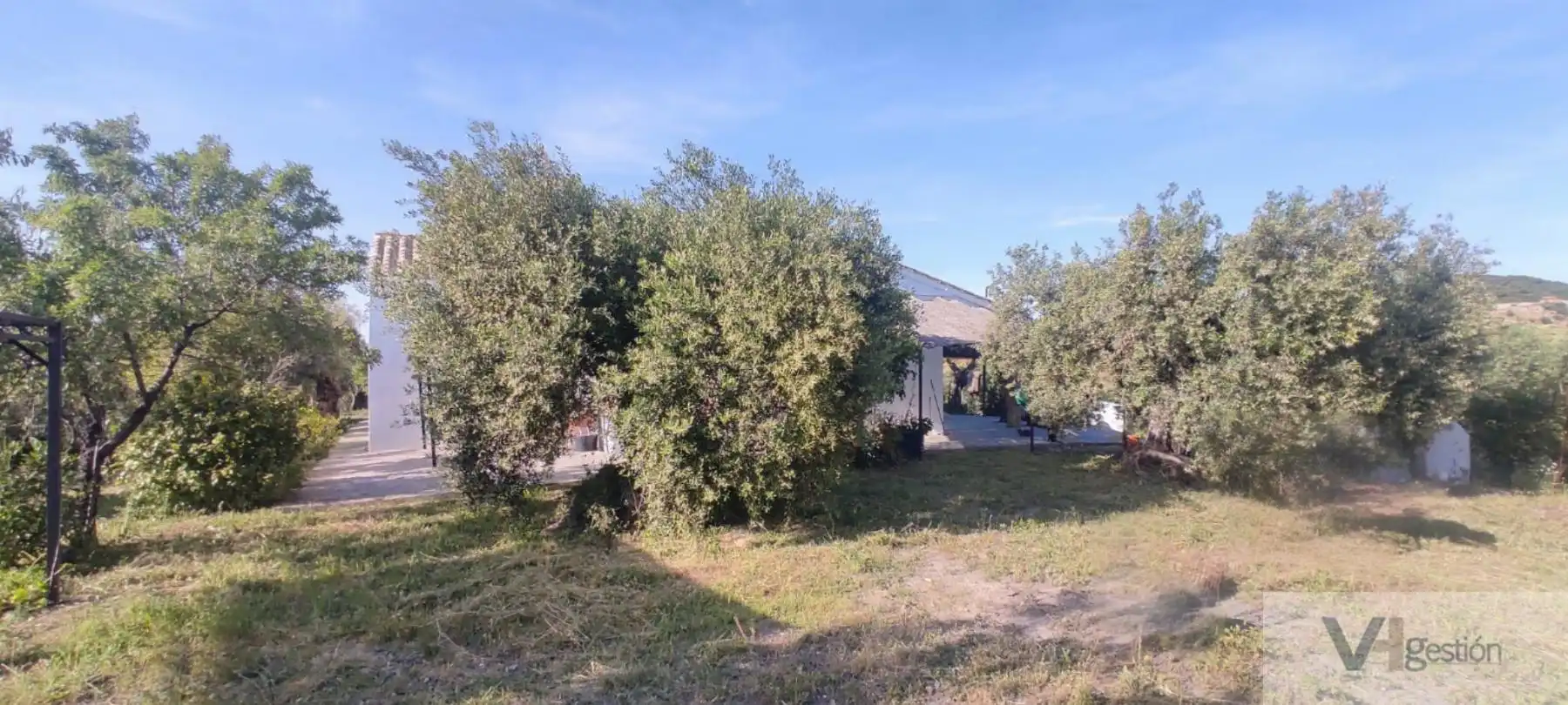 Casa rústica amb piscina en venda a El Coronil, imagen 18