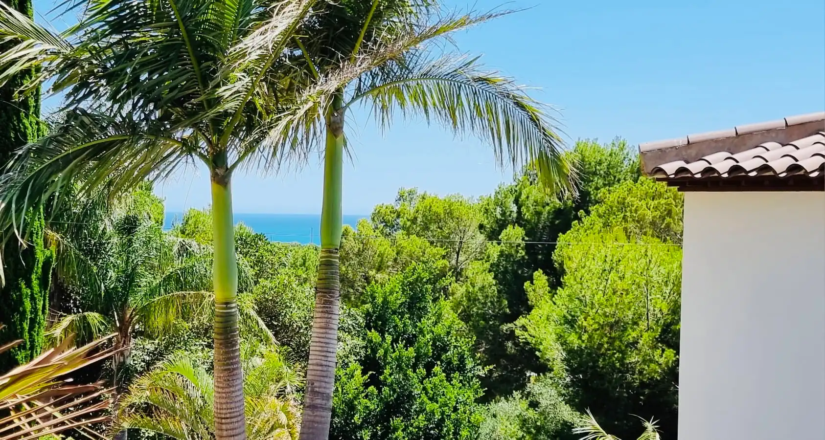 Detached house with terrace for sale in L'Olla, imagen 4