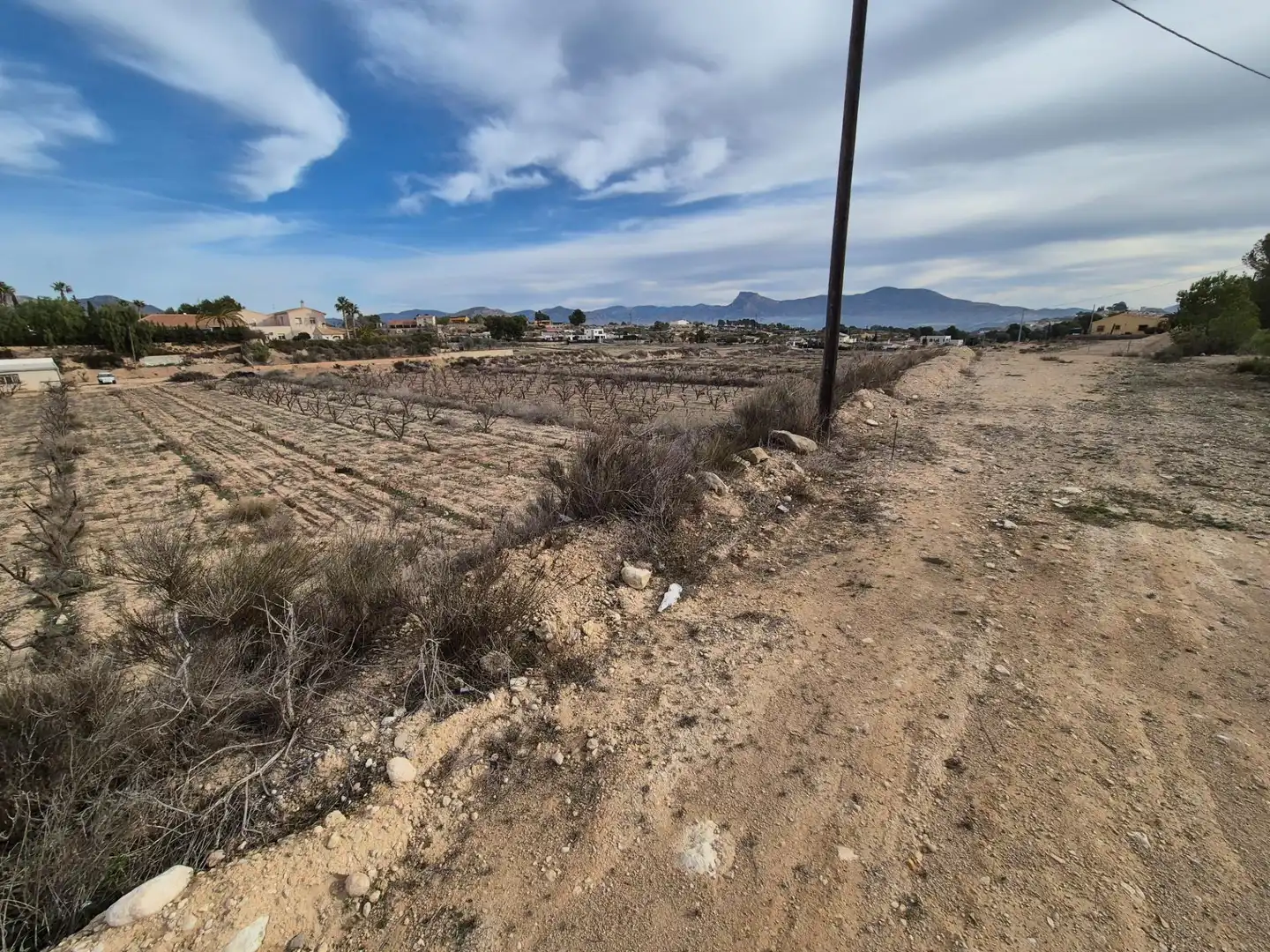 Terreny rústic en venda a Monóvar  / Monòver, imagen 30