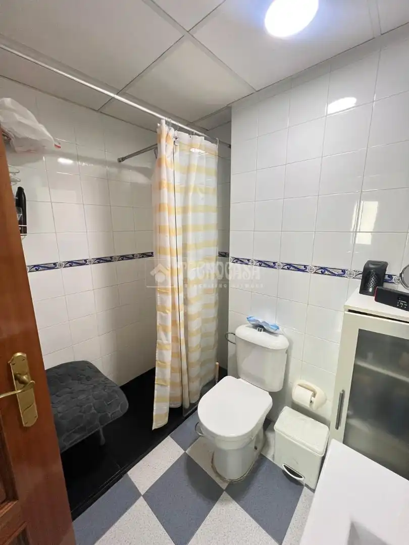 Bathroom of Detached homes for sale in Dos Hermanas