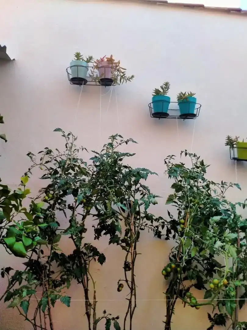 Terraza de Casa o chalet en venta en Malagón