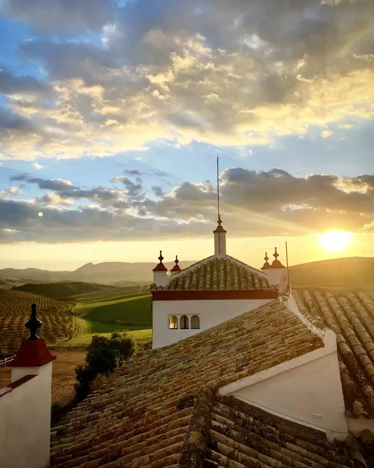 Country house with terrace for sale in Morón de la Frontera, imagen 9