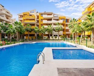 Piscina de Apartament en venda en Torrevieja amb Aire condicionat, Calefacció i Jardí privat