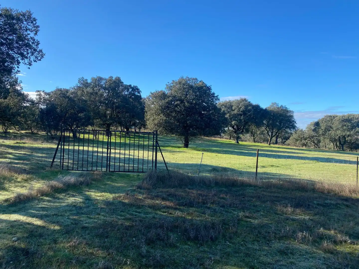 Finca rústica en venta en Buenaventura