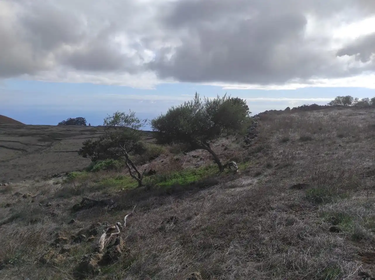 Residencial en venta en Valverde (Santa Cruz de Tenerife)